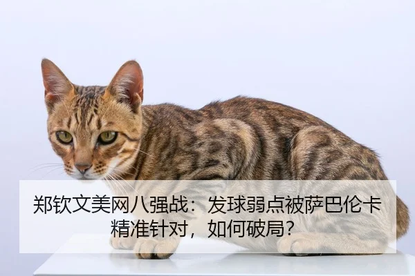 郑钦文美网八强战：发球弱点被萨巴伦卡精准针对，如何破局？
