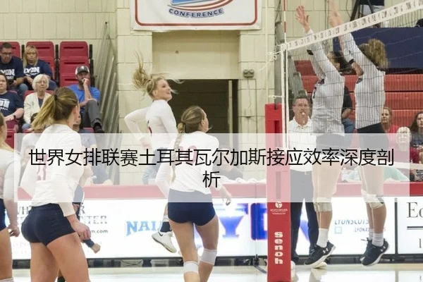shi-jie-nv-pai-lian-sai-tu-er-qi-wa-er-jia-si-jie-ying-xiao-lv-shen-du-pou-xi-3-708.jpg