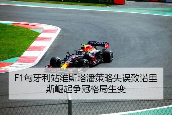 F1匈牙利站维斯塔潘策略失误致诺里斯崛起争冠格局生变