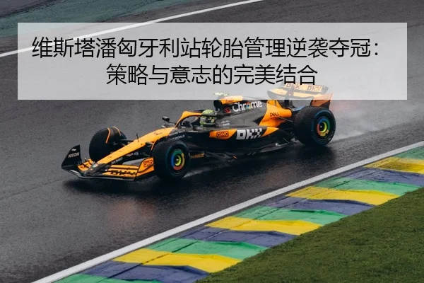维斯塔潘匈牙利站轮胎管理逆袭夺冠：策略与意志的完美结合