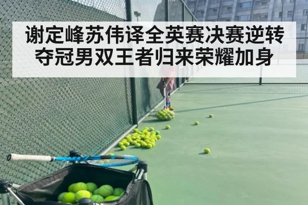 谢定峰苏伟译全英赛决赛逆转夺冠男双王者归来荣耀加身